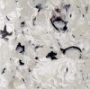 TS607